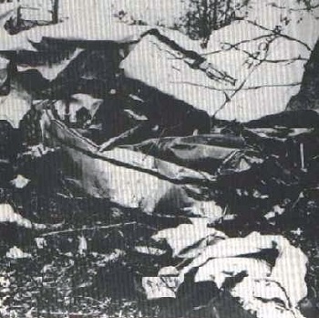 ASResultsofPatsyClinesPlaneCrash.jpg